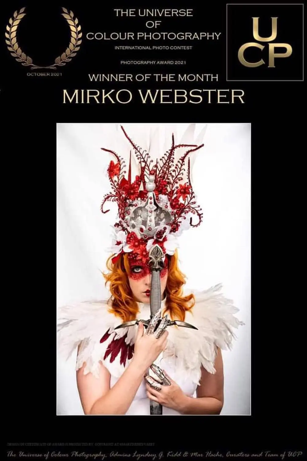 Auszeichnungen von Vivid Visions