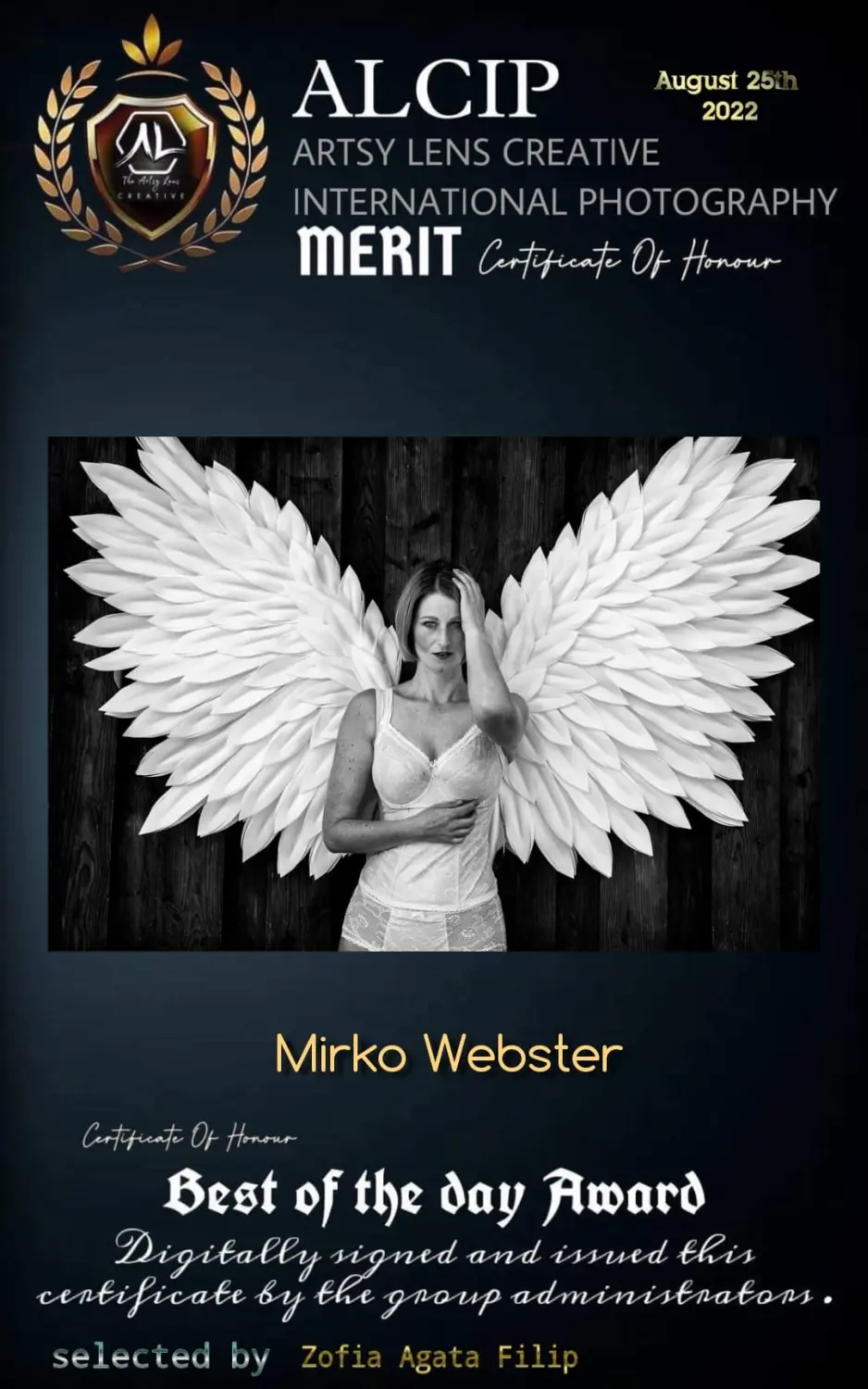 Auszeichnungen von Vivid Visions