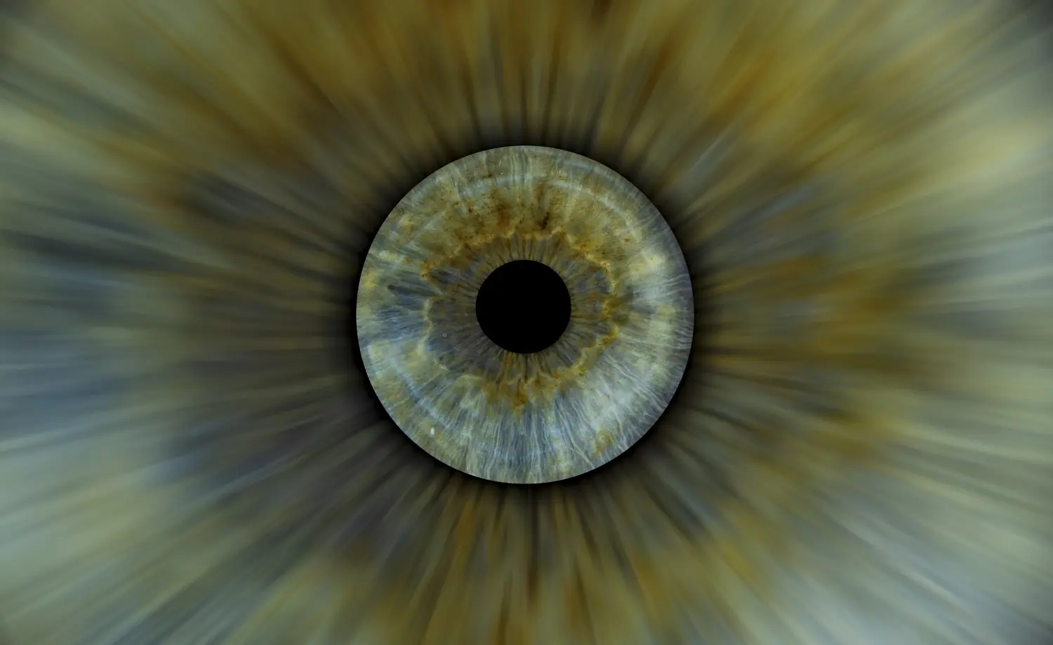 Hochzeitsreportagen/Begleitungen von Vivid Visions