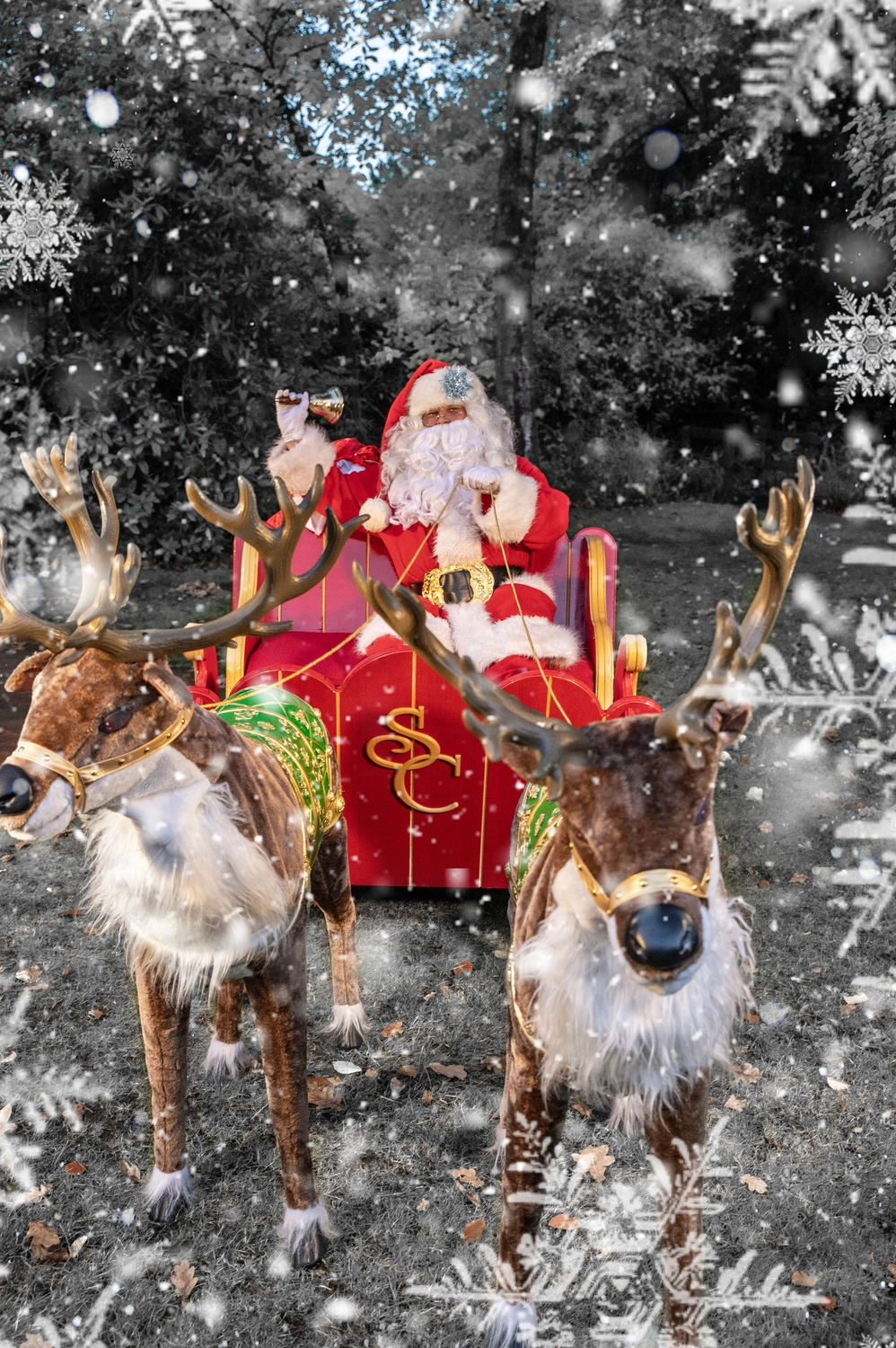 Magazin-Fotoshooting von Vivid Visions