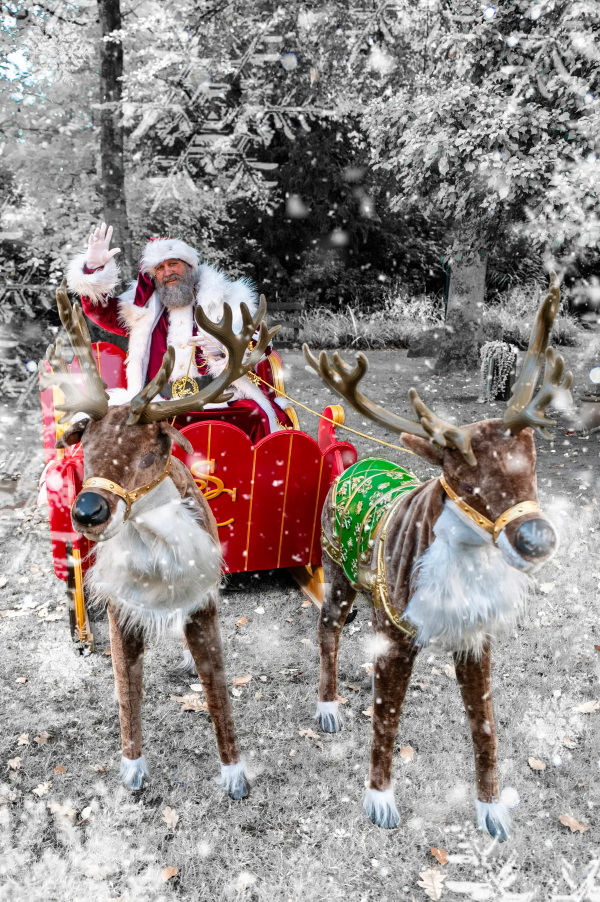 Cosplay von Vivid Visions